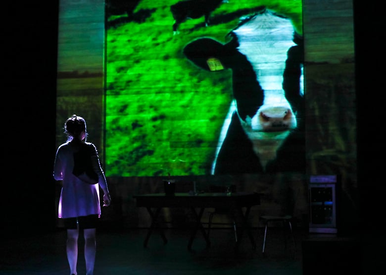 Allie a stands downstage, dimly lit, as she stares upstage at a giant wall, onto which is projected images and videos of dairy cows.